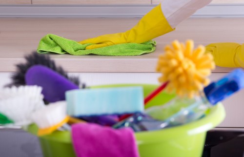 Professional window cleaning equipment used in Putney