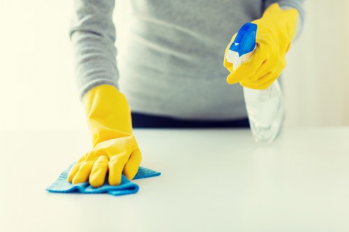 A cleaner refreshing a bright Putney living room during a deep clean