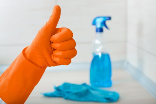 Professional house cleaning in a Putney apartment