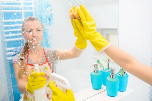Upholstery and carpet pet odour cleaning service in Putney