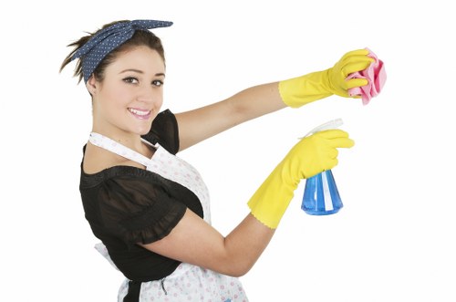 Targeted odour removal for pet accidents in a Putney apartment