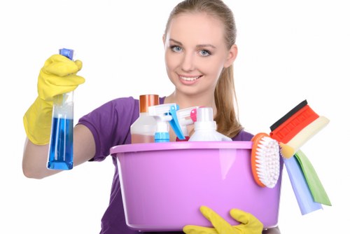 Recurring domestic cleaning service for Putney customers