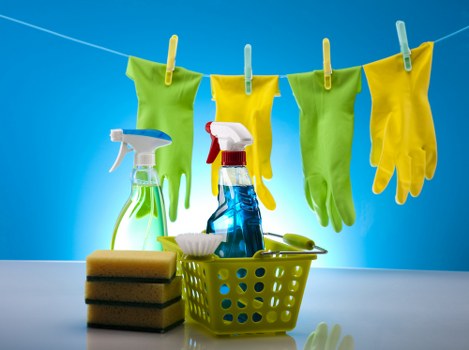 Reliable domestic cleaning support for Putney households