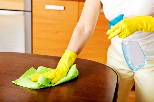 Deep mattress stain removal and deodorising in Putney